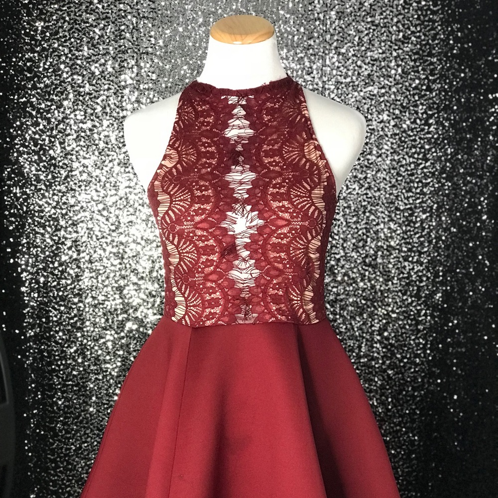 Windsor Eyelash Lace Sleeveless Skater Dress